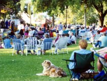 Concerts in the Park